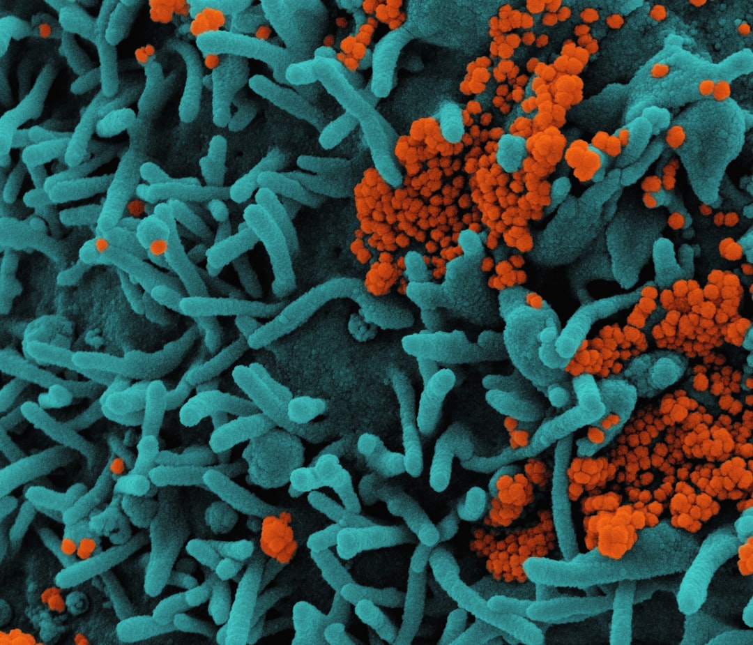 How to Build a High-Ticket Longevity Practice Using Microbiome Data